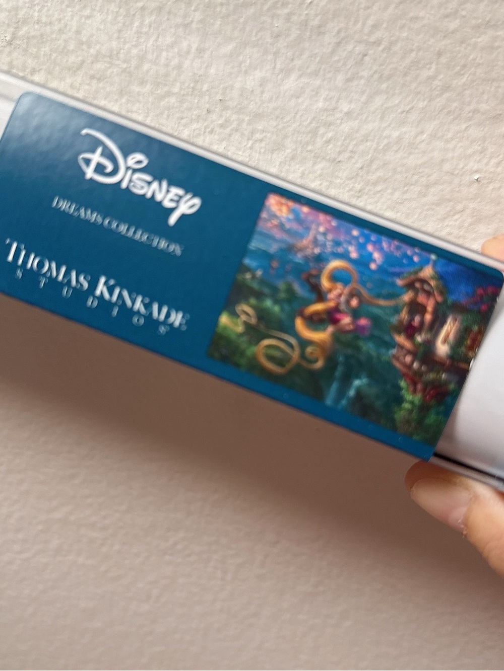 Thomas Kinkade Disney Tangled Art Print